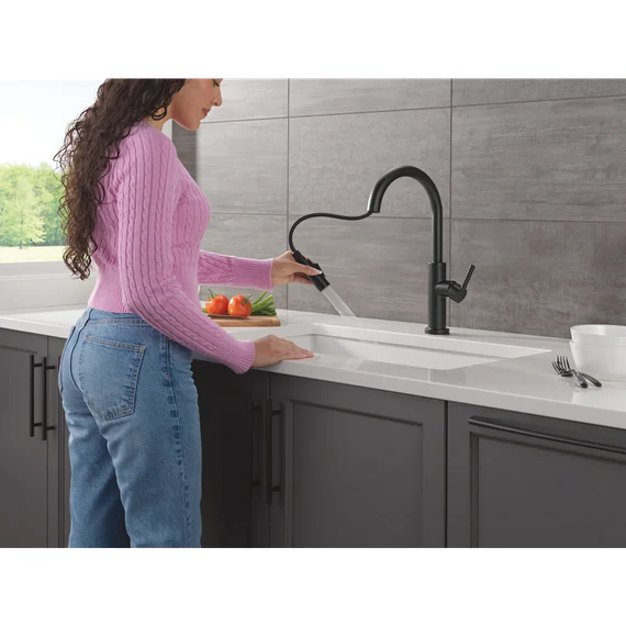 Delta Nicoli 1.8 GPM Single Hole Pull Down Kitchen Faucet - Includes Escutcheon - Image 3