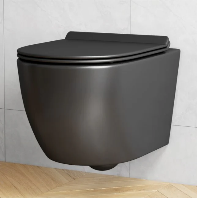 Eridanus Hampton Matte Black D-shape Wall-hung Dual Slow Close Toilet - Image 5