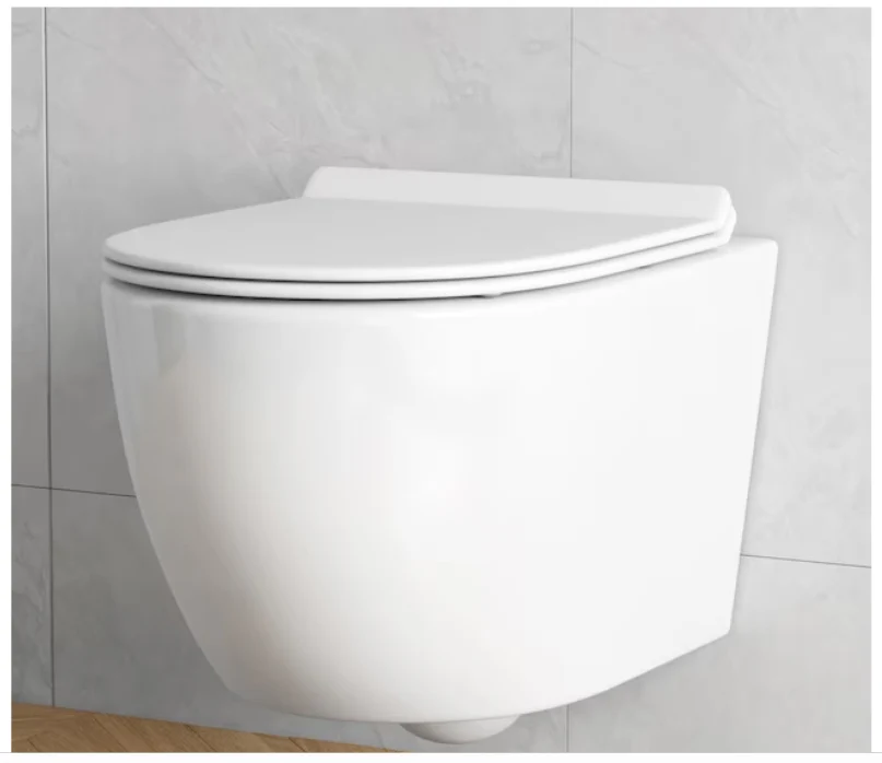 Eridanus Hampton White D-shape Custom Height Wall-Hung Rough-In Dual Flush 1-piece Toilet - Image 3