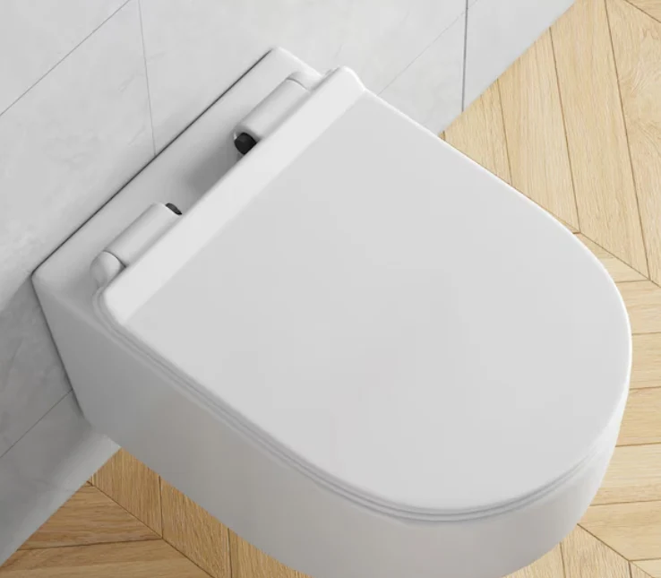 Eridanus Hampton White D-shape Custom Height Wall-Hung Rough-In Dual Flush 1-piece Toilet - Image 4