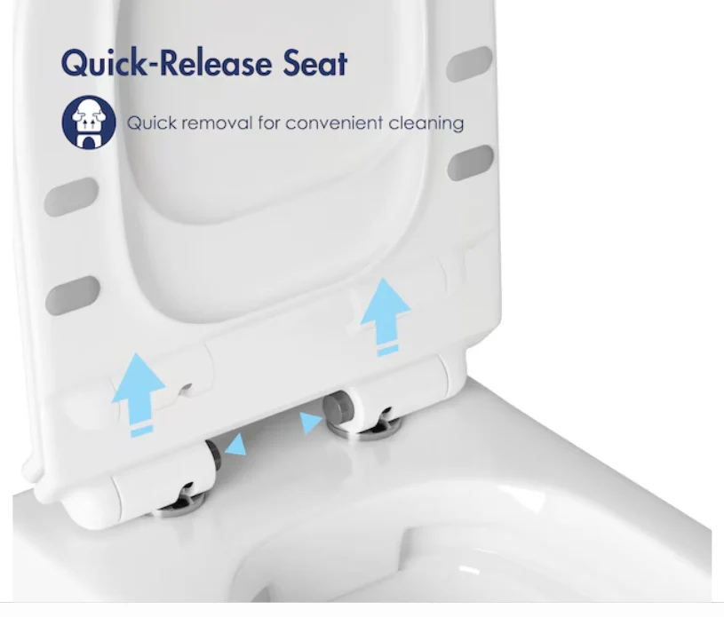 Eridanus Hampton White D-shape Custom Height Wall-Hung Rough-In Dual Flush 1-piece Toilet - Image 5