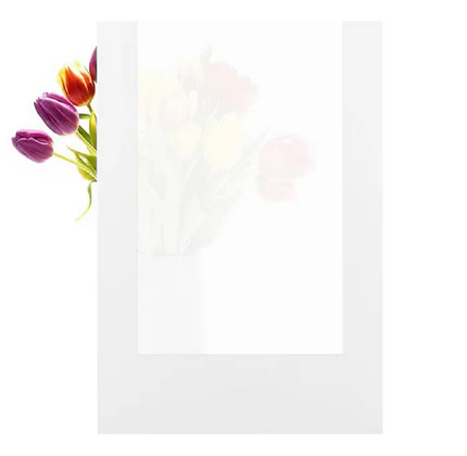 RELIABILT 30" x 80" Marigold Solid Core 5-panel Frosted glass Left Hand Inswing Pine Wood Single Prehung Interior Door - Image 5